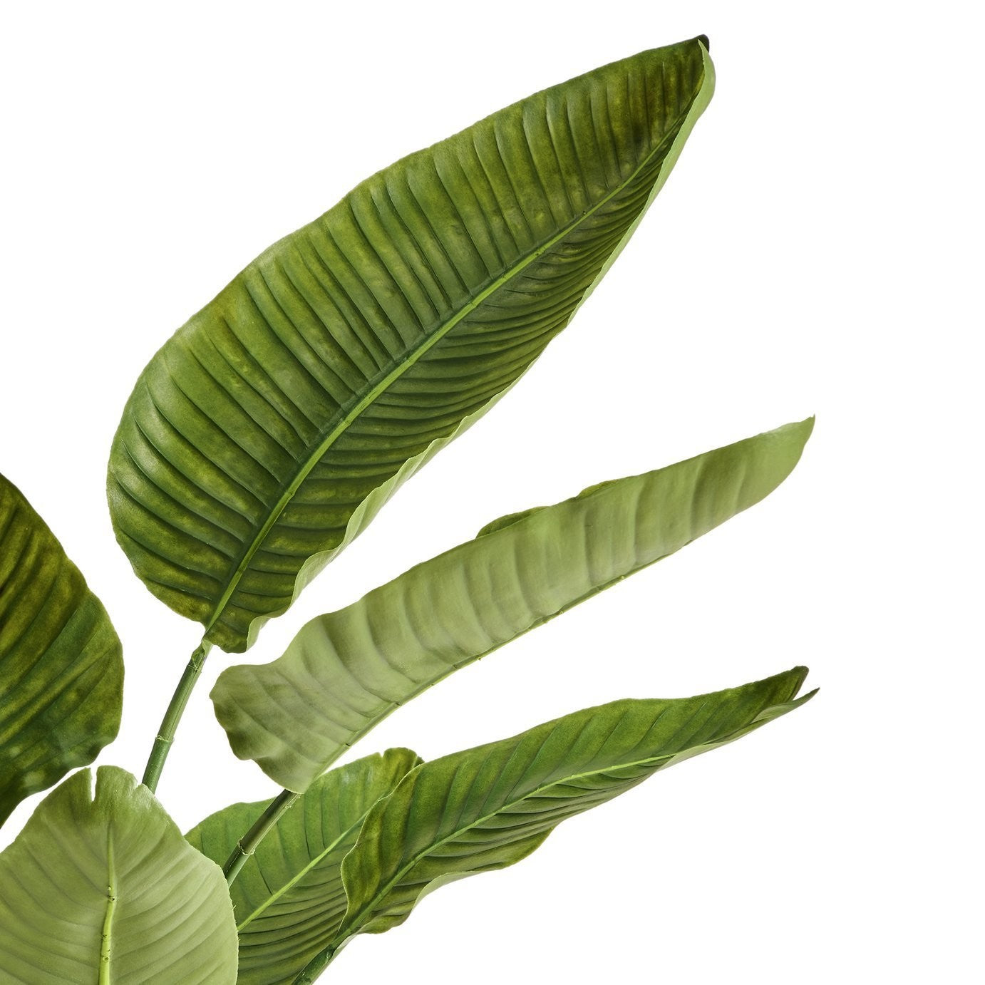 Habitat Artificial Green Travellers Palm Plant - 129cm