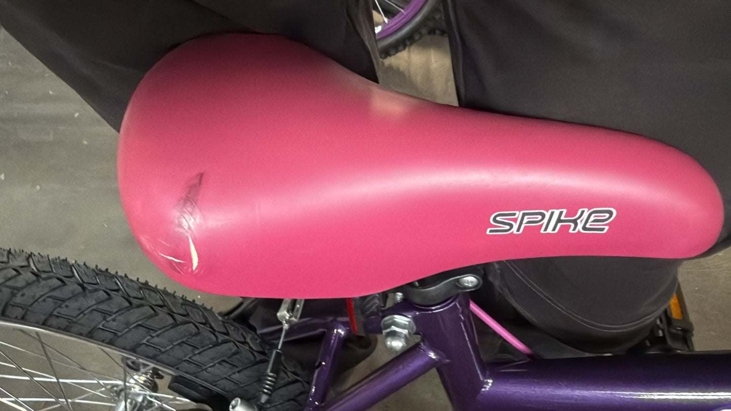 Spike 20 Inch Wheel Size Kids Mountain Bike - Purple